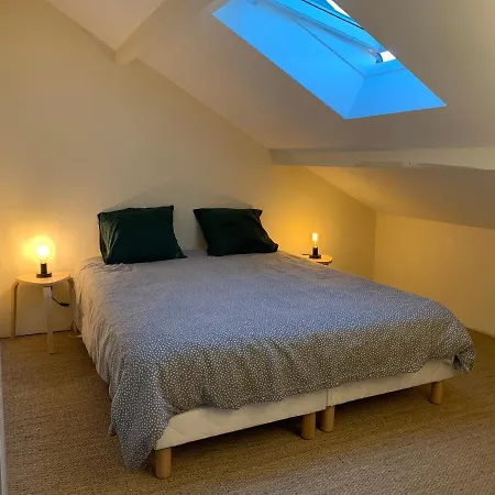 Biby Beachhouse Villa Lacanau